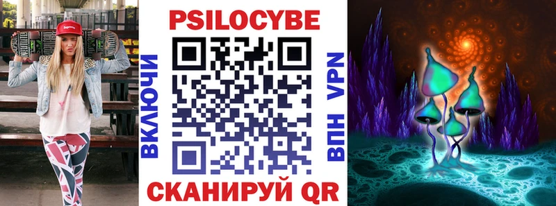 Купить закладки  Заречный  Псилоцибиновые грибы Magic Shrooms 