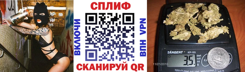 Купить закладки  Заречный  МАРИХУАНА семена 